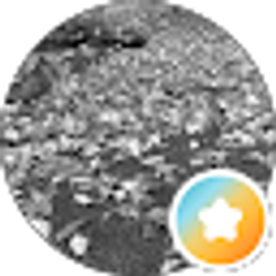 Profile photo of juliaundra barnard