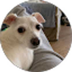 Profile photo of Cat G