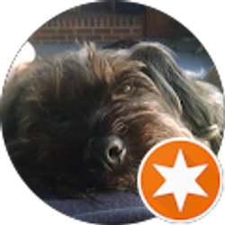 Profile photo of Jimmy Williams