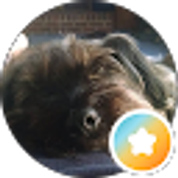 Profile photo of Jimmy Williams
