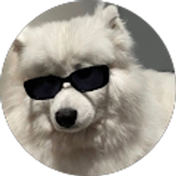 Profile photo of Rustam Suleymanov