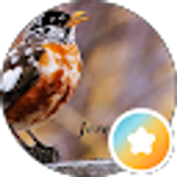 Profile photo of M. P.
