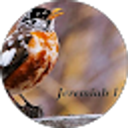 Profile photo of M. P.