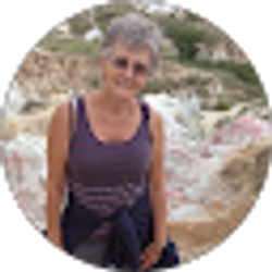 Profile photo of Carol Lawson