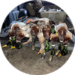 Profile photo of Lane Burson