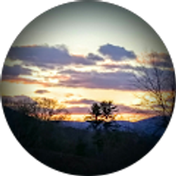 Profile photo of Cindy Harmon