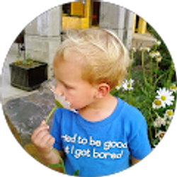 Profile photo of Cori Arnspiger