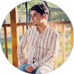 Profile photo of ali azimi