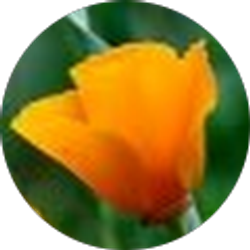 Profile photo of Melissa Vargas