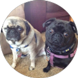 Profile photo of Barbara McBride