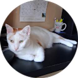 Profile photo of Mark Suttle