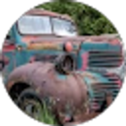 Profile photo of Shannon Thomas