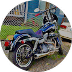 Profile photo of Angus Moore