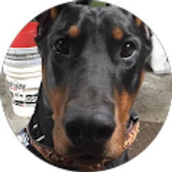 Profile photo of Albert Claudio