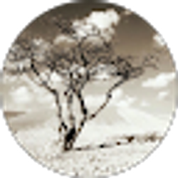 Profile photo of Robert F.