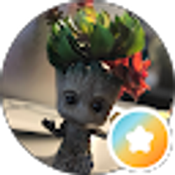 Profile photo of Deni Daily