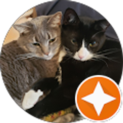 Profile photo of Olivia Lopez-Latimer