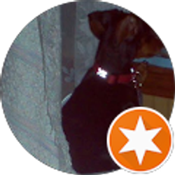 Profile photo of Charlyne Smith