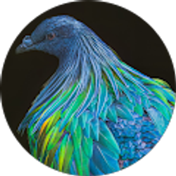 Profile photo of Linda Britt