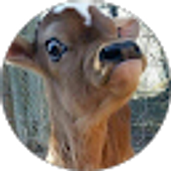 Profile photo of Trent Settlemire