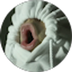 Profile photo of Jack Wandler