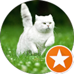 Profile photo of Morganne Beasley