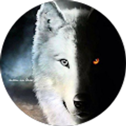 Profile photo of Melissa Terry