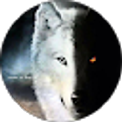 Profile photo of Melissa Terry