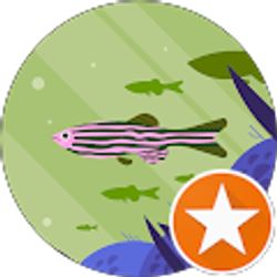 Profile photo of maddie Upperman