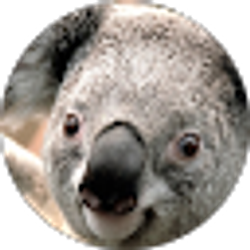 Profile photo of L Potts