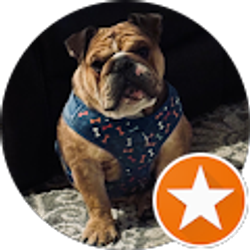 Profile photo of Matthew R