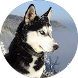 Profile photo of Kaitlyn Buel