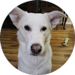 Profile photo of Lorri Ott