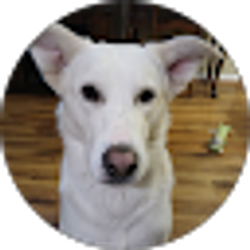 Profile photo of Lorri Ott