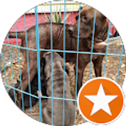 Profile photo of Cassandra Lara-Sandoval