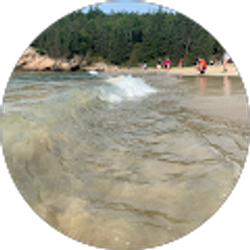 Profile photo of Ryan Mecca