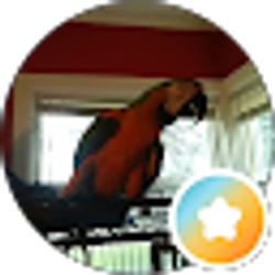 Profile photo of Nicole Nadeau
