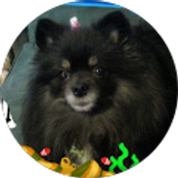 Profile photo of Jean Dillashaw