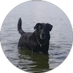 Profile photo of West Clausen