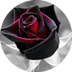 Profile photo of Tammie Thompson