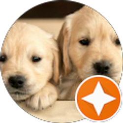 Profile photo of Kendall Harvey