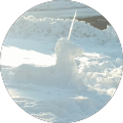 Profile photo of Kristi Marie Steinmetz