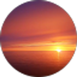 Profile photo of Sarina Saran