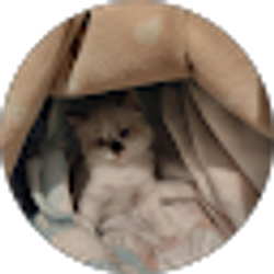 Profile photo of Ruby