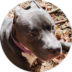 Profile photo of Juliette Lambert