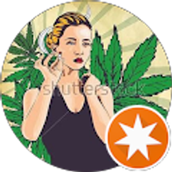 Profile photo of Teresa Cafe