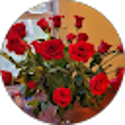 Profile photo of Jesus Espinoza