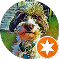 Profile photo of Pearson Johnson