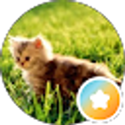 Profile photo of Zeki Sert (zekiguy123)