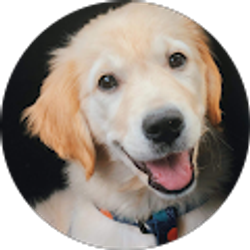 Profile photo of Aurellius Costello